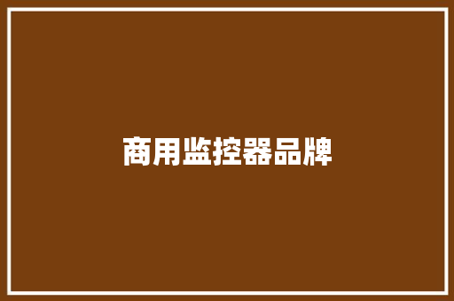 商用监控器品牌