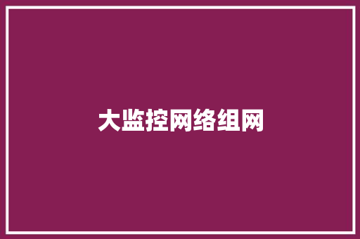 大监控网络组网