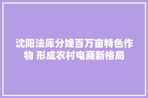 沈阳法库分娩百万亩特色作物 形成农村电商新格局