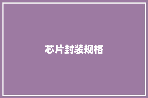 芯片封装规格