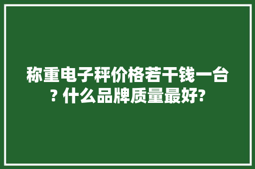 称重电子秤价格若干钱一台? 什么品牌质量最好?