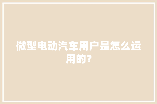 微型电动汽车用户是怎么运用的？