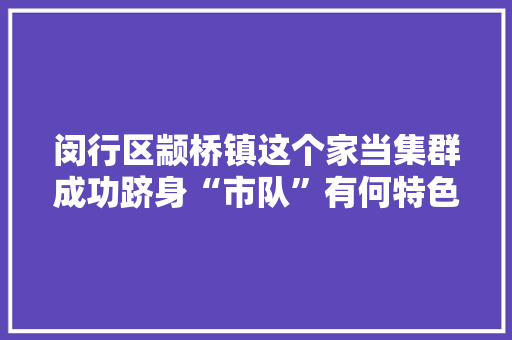 闵行区颛桥镇这个家当集群成功跻身“市队”有何特色和亮点？