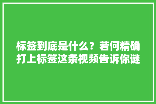 标签到底是什么？若何精确打上标签这条视频告诉你谜底！