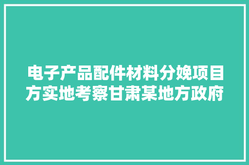电子产品配件材料分娩项目方实地考察甘肃某地方政府