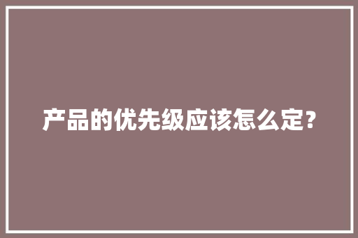 产品的优先级应该怎么定？