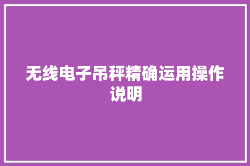 无线电子吊秤精确运用操作说明 无线电子吊秤精确运用操作说明 智能家居
