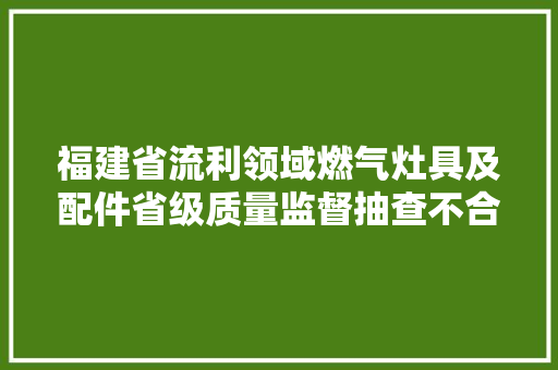 福建省流利领域燃气灶具及配件省级质量监督抽查不合格结果通知书记（2024年第2期） 福建省流利领域燃气灶具及配件省级质量监督抽查不合格结果通知书记（2024年第2期） 智能家居