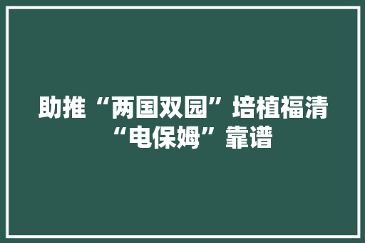 助推“两国双园”培植福清“电保姆”靠谱