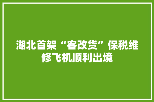 湖北首架“客改货”保税维修飞机顺利出境
