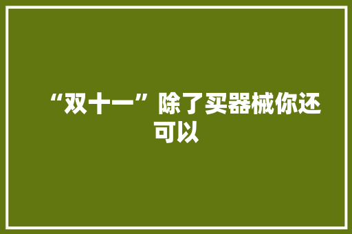 “双十一”除了买器械你还可以 “双十一”除了买器械你还可以 人工智能