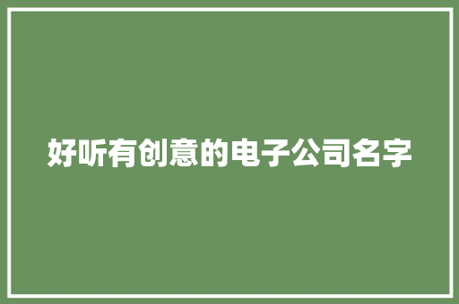 好听有创意的电子公司名字