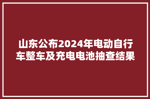 山东公布2024年电动自行车整车及充电电池抽查结果