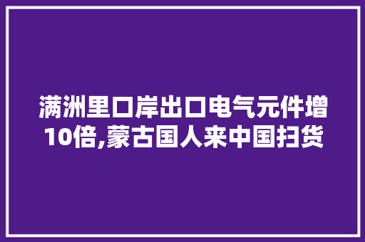 满洲里口岸出口电气元件增10倍,蒙古国人来中国扫货后,工作有进展