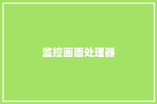 监控画面处理器