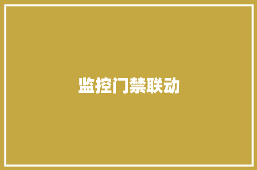 监控门禁联动,门禁锁安装。