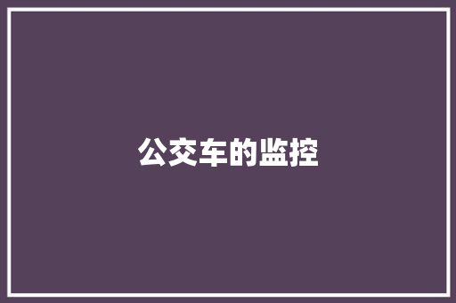 公交车的监控,监控杆生产厂家 专业监控杆厂家。