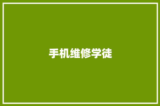 手机维修学徒