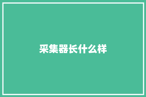 采集器长什么样,集中器功能介绍。