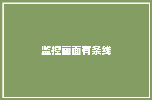 监控画面有条线,画面精美的手游。