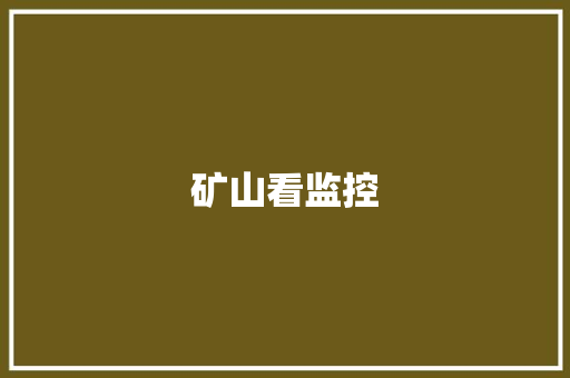 矿山看监控