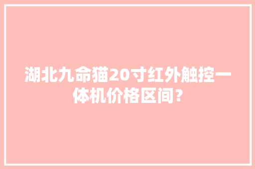 湖北九命猫20寸红外触控一体机价格区间？