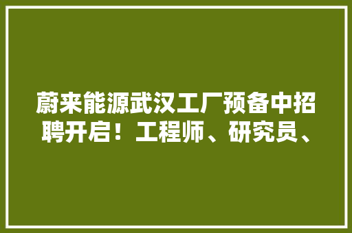 蔚来能源武汉工厂预备中招聘开启！工程师、研究员、专利顾问、幼教师长教师……光谷大年夜量offer上新
