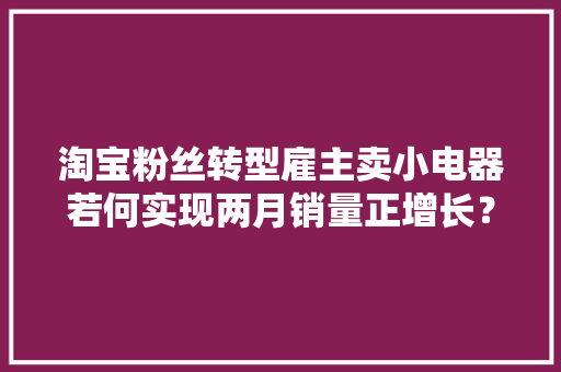 淘宝粉丝转型雇主卖小电器若何实现两月销量正增长？