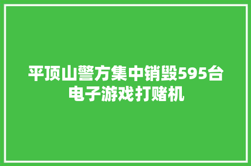 平顶山警方集中销毁595台电子游戏打赌机