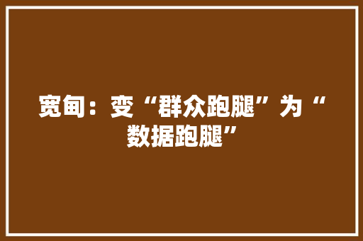 宽甸：变“群众跑腿”为“数据跑腿”