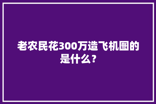 老农民花300万造飞机图的是什么？