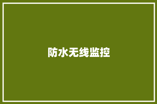 防水无线监控 防水无线监控 智能家居