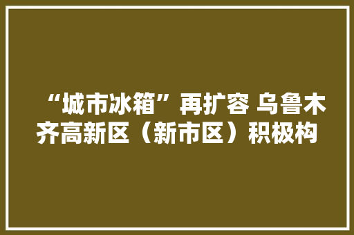 “城市冰箱”再扩容 乌鲁木齐高新区（新市区）积极构造冷链物流