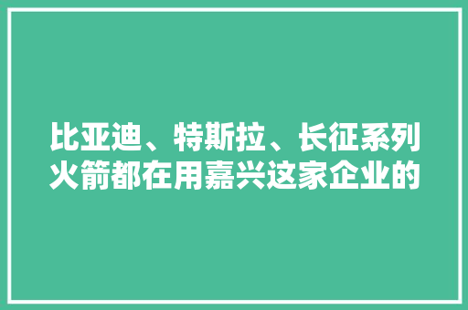 比亚迪、特斯拉、长征系列火箭都在用嘉兴这家企业的产品！