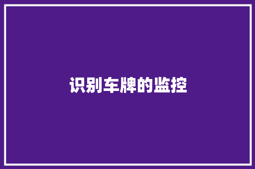 识别车牌的监控
