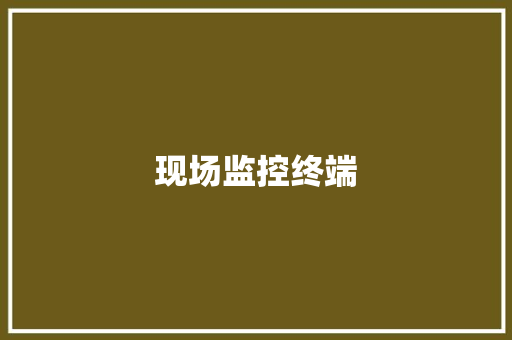 现场监控终端
