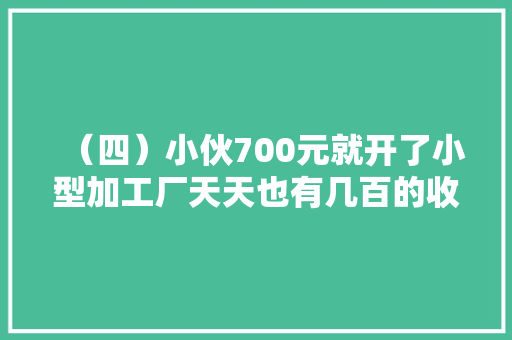 （四）小伙700元就开了小型加工厂天天也有几百的收入了。