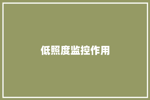 低照度监控作用
