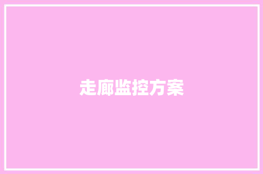 走廊监控方案,摄像头监控哪个品牌好。