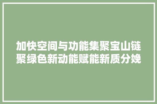 加快空间与功能集聚宝山链聚绿色新动能赋能新质分娩力