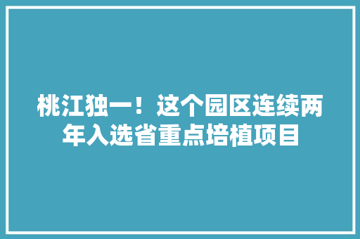 桃江独一！这个园区连续两年入选省重点培植项目
