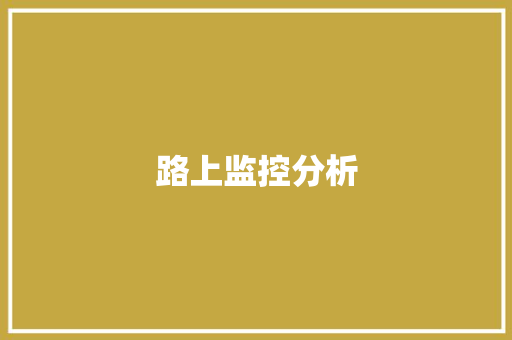 路上监控分析