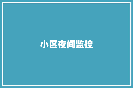 小区夜间监控 小区夜间监控 人工智能