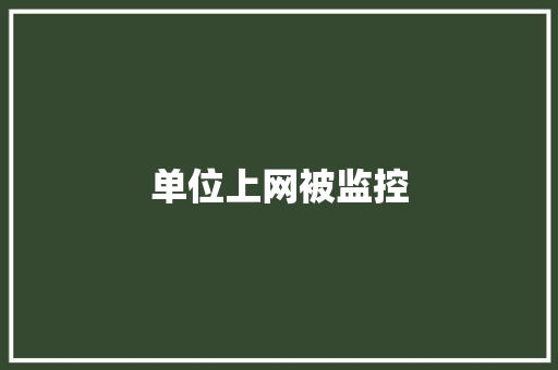 单位上网被监控,监控安装公司。