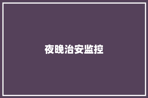 夜晚治安监控