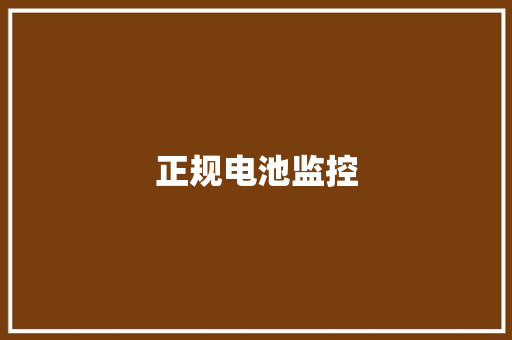 正规电池监控