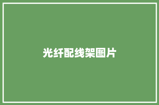 光纤配线架图片