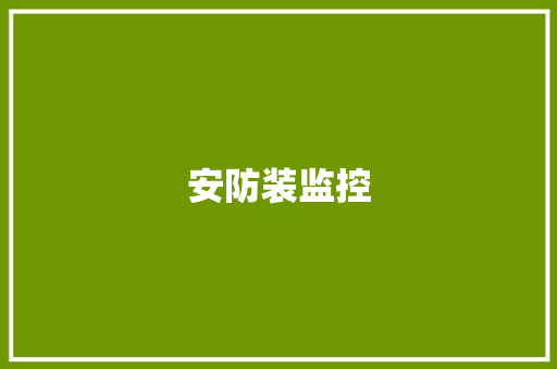 安防装监控