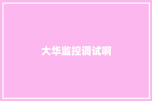 大华监控调试啊 大华监控调试啊 互联通信