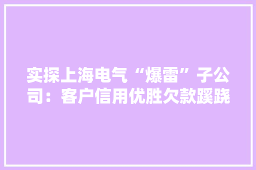 实探上海电气“爆雷”子公司：客户信用优胜欠款蹊跷
